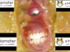 Affamato come un lupo video porno gratuito donne mature